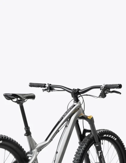 Bicicleta rígida para downhill Dartmoor Hornet Pro