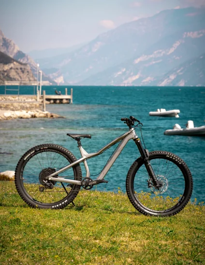 Bici Dartmoor Hornet Pro