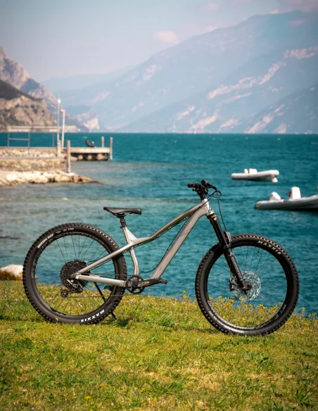 Bici Dartmoor Hornet Pro