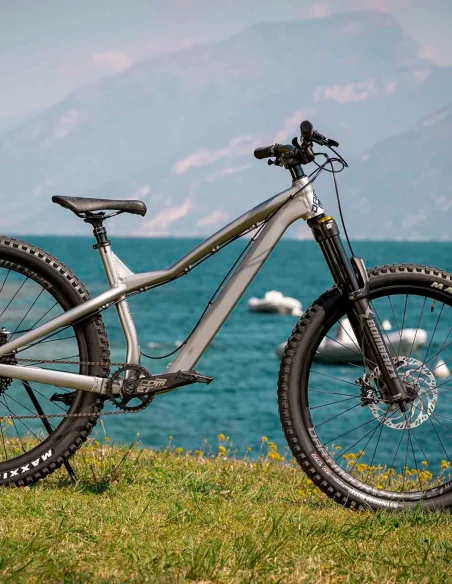 comprar online la bicicleta Dartmoor Hornet Pro