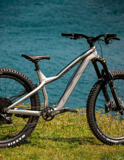 La Dartmoor Hornet Pro es una rígida para descenso