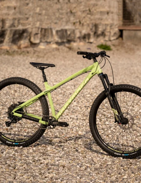 Bici Dartmoor Primal Evo 29