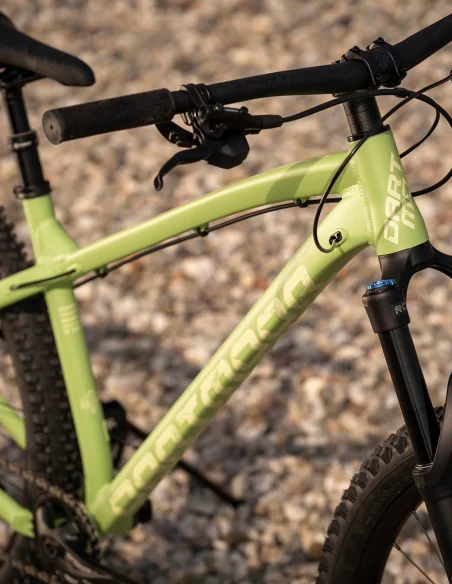 Dartmoor Primal Evo 29 matt Green Olive