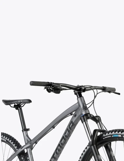 Vélo Dartmoor Primal Intro 29 de VTT