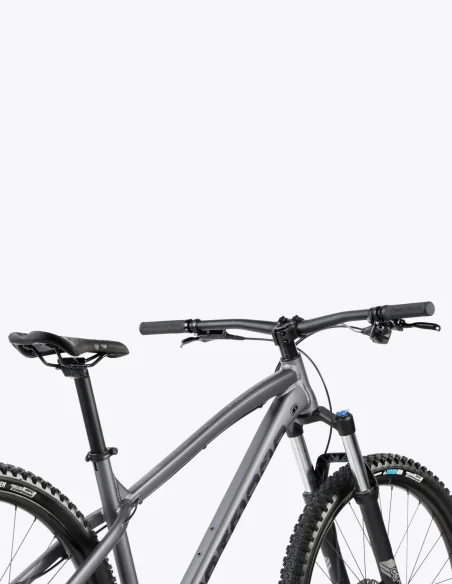 Vélo rigide tout-terrain Dartmoor Primal Intro 29