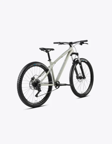 Bicicleta Dartmoor Sparrow Intro Mullet 29/27.5