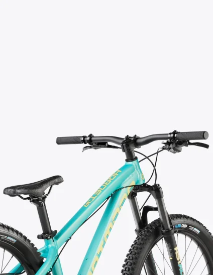 Vélo Dartmoor Hornet Junior de couleur bleu turquoise