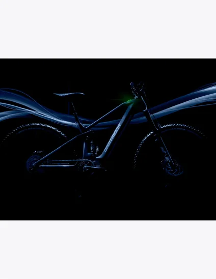 Vélo électrique Dartmoor E-Thunderbird en carbone avec roues de 29"