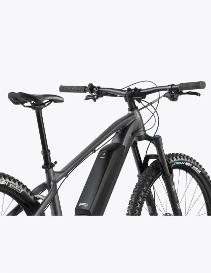 Vélo électrique avec batterie de 450 Wh Dartmoor E-Sparrow Mullet