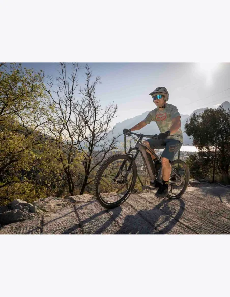 Vélo électrique tout-terrain Dartmoor E-Sparrow Mullet