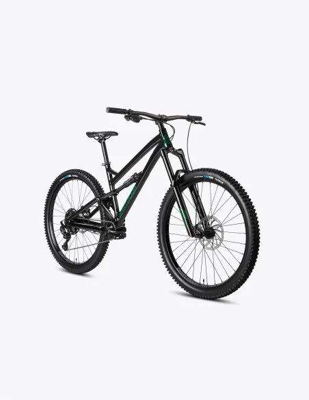Bicicleta Dartmoor Blackbird Intro 29”