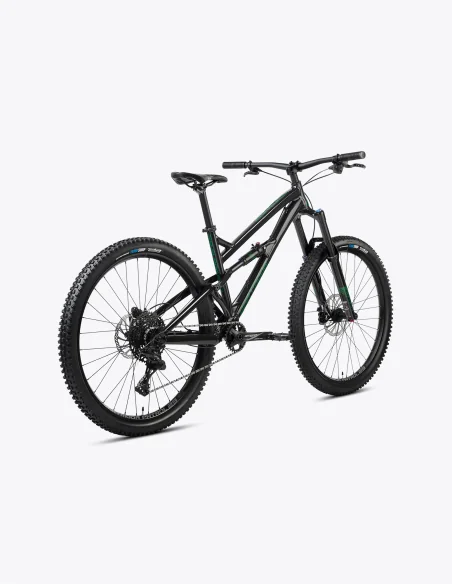 Bici Dartmoor Blackbird Intro 29”