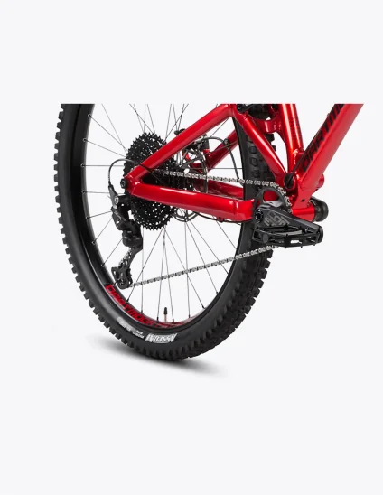 Bicicleta Dartmoor Blackbird Evo 29” monoplato