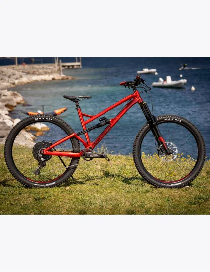 Bici Dartmoor Blackbird Evo 29”