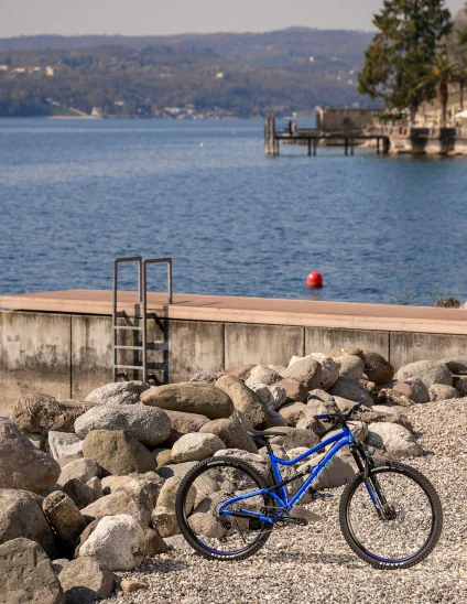 Vélo Dartmoor BlueBird Pro 29” trail