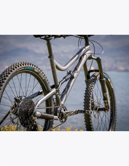 Vélo Dartmoor BlueBird Evo 27.5” avec suspension tout-terrain