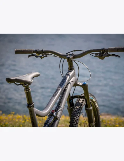 Bike Dartmoor BlueBird Evo 27.5”
