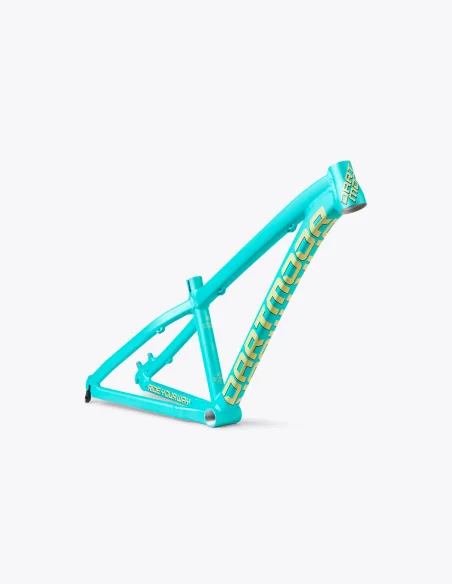 Cuadro Dartmoor Hornet Junior 24”