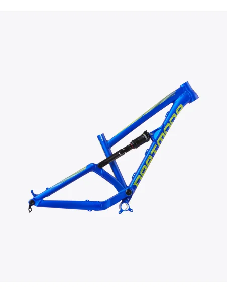 Cuadro Dartmoor Blackbird Junior