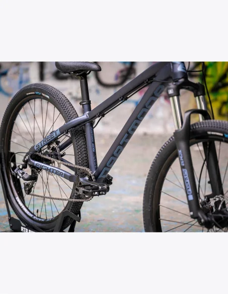 comprar Cuadro Dartmoor Streetfighter 26”