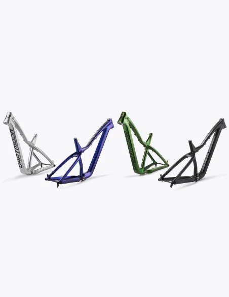 Cuadro Dartmoor Hornet Pro en color plata, azul, verde y negro