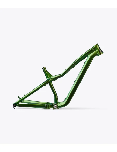 Cuadro Dartmoor Hornet Pro color verde