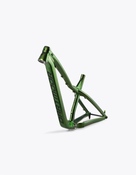 comprar Cuadro Dartmoor Hornet Pro color verde