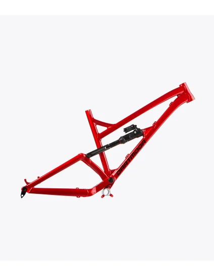 Cadre Dartmoor BlackBird 29” en rouge avec 160 mm de débattement