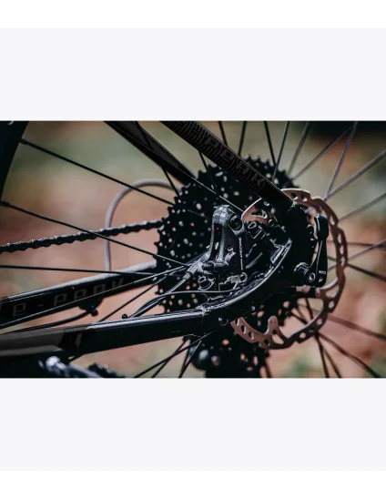 Bicicleta eléctrica de MTB Accent E-Peak EP6