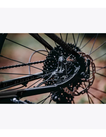 Bicicleta eléctrica de MTB Accent E-Peak EP6