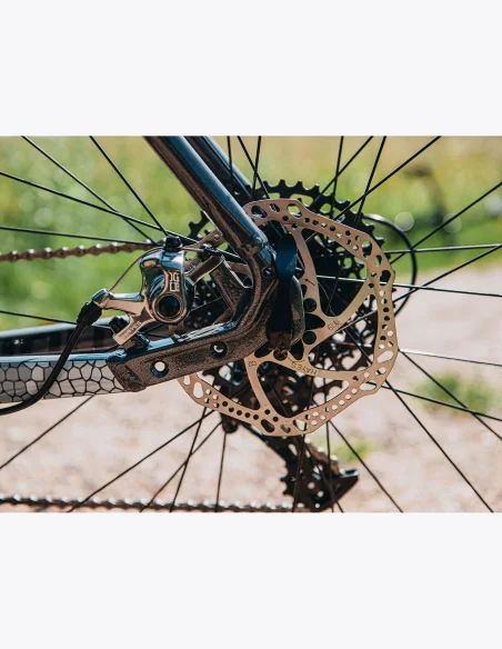 Freno de disco de la Bicicleta de gravel Accent Furious en color Gris