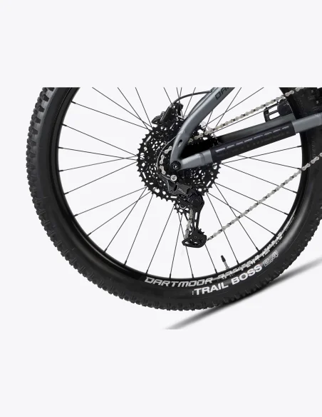 Bicicleta Dartmoor Bluebird Intro con ruedas Mullet Gris