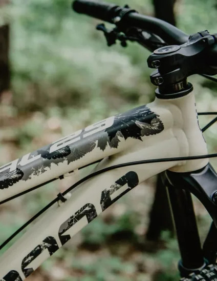 comprar Cuadro Primal 29 V1