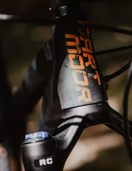 Cuadro Primal 29 V1