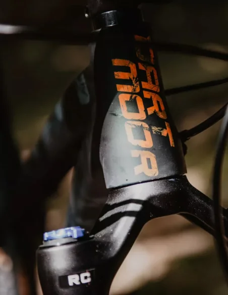 Cuadro Primal 29 V1