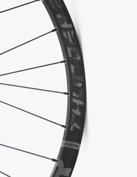 detalles Rueda Delantera Dartmor Thunder 29"