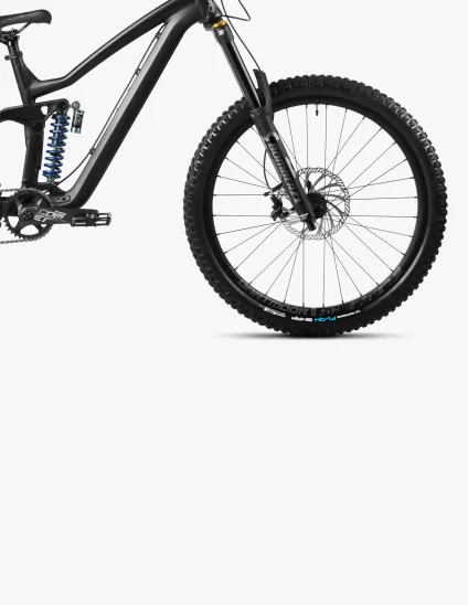 Bicicleta Dartmoor Thunderbird FR EVO Single Speed con frenos de disco hidráulicos