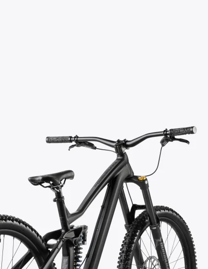 Vélo Dartmoor Thunderbird FR EVO Single Speed avec 180 mm de débattement