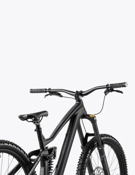 Bicicleta Dartmoor Thunderbird FR EVO Single Speed con 180mm de recorrido