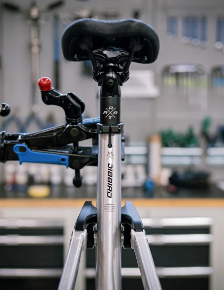 detalles Bicicleta Dartmoor Jibbird Pro con single speed