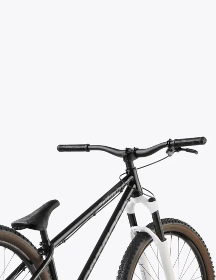 Bicicleta de Dirt Jump Dartmoor Quinnie