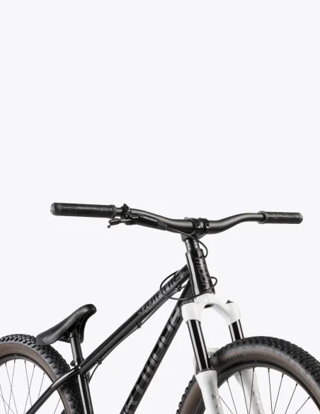 manillar y horquilla Bicicleta Dartmoor Quinnie