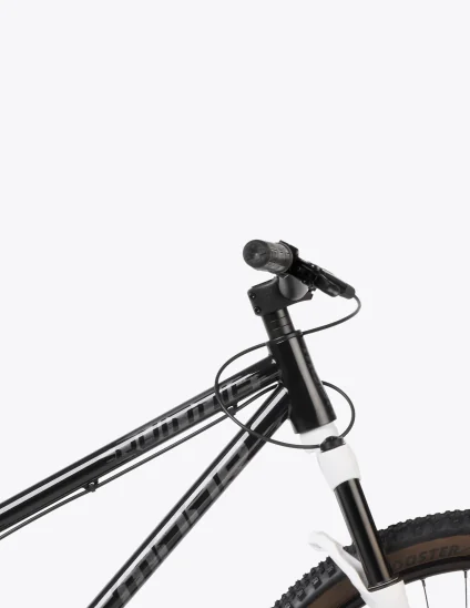 Bicicleta Dartmoor Quinnie en color negro