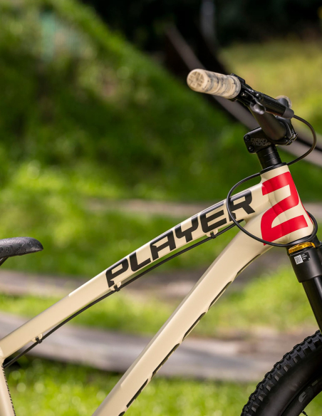 Cadre Dirt Jump 26 Dartmoor Two6player Pro matt Sand Storm