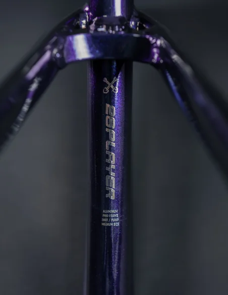 detalles parte trasera Cuadro Dartmoor Two6player Pro color azul cósmico