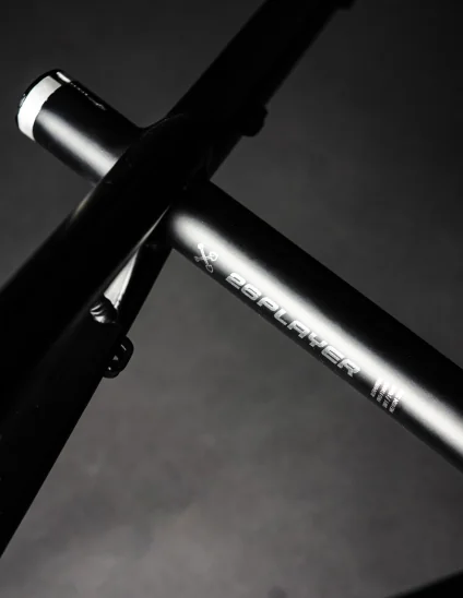 Detalle del cuadro Cuadros Dartmoor Two6player Pro en color negro