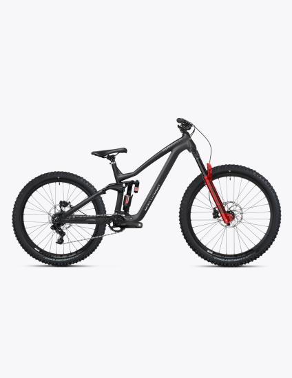 Bicicleta Dartmoor Thunderbird FR Pro GX