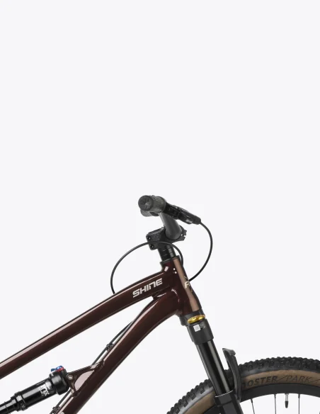 Vélo Dartmoor Shine Pro Choco