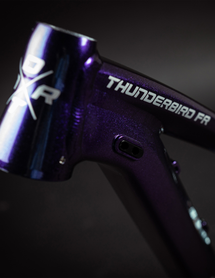 detalles del color del cuadro de la Bicicleta Dartmoor Thunderbird FR Pro Single Speed