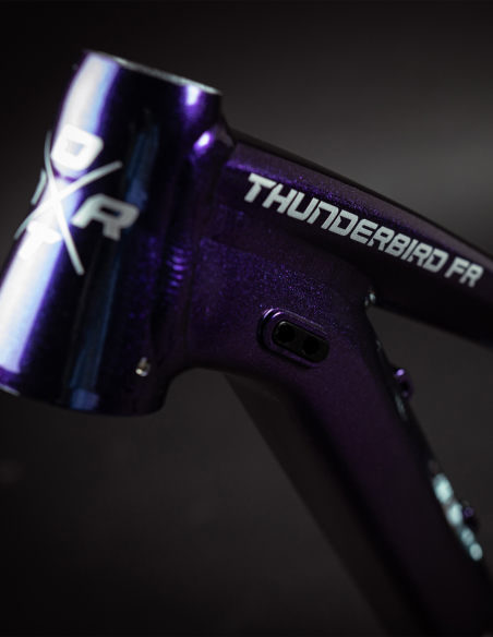 detalles del color del cuadro de la Bicicleta Dartmoor Thunderbird FR Pro Single Speed